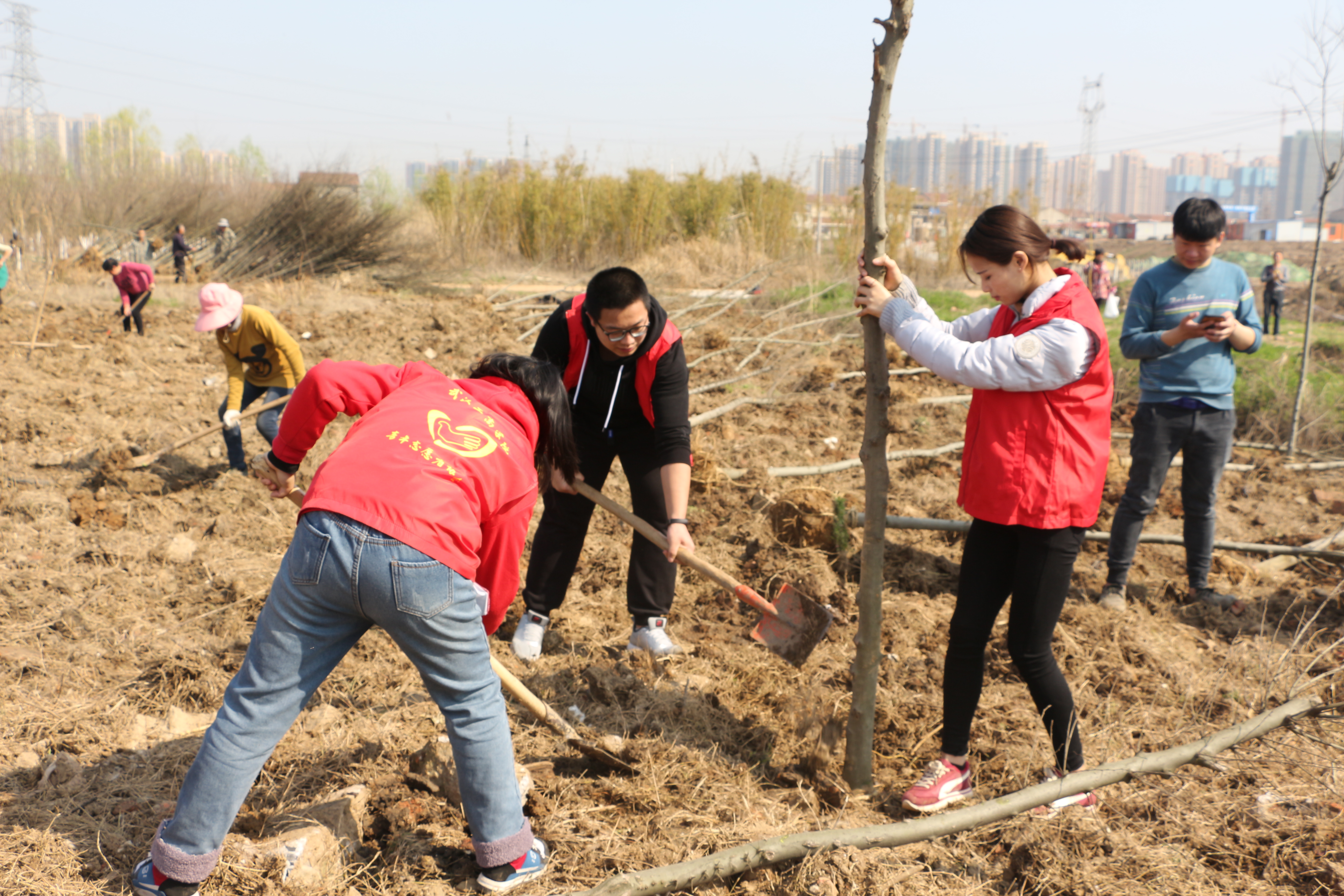 志愿者们正在为新栽的小树盖土 摄影:曲光浩