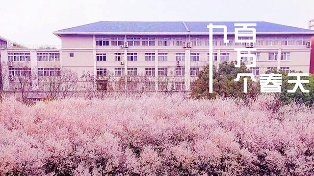 九百万个春天，因为有你终将绽放