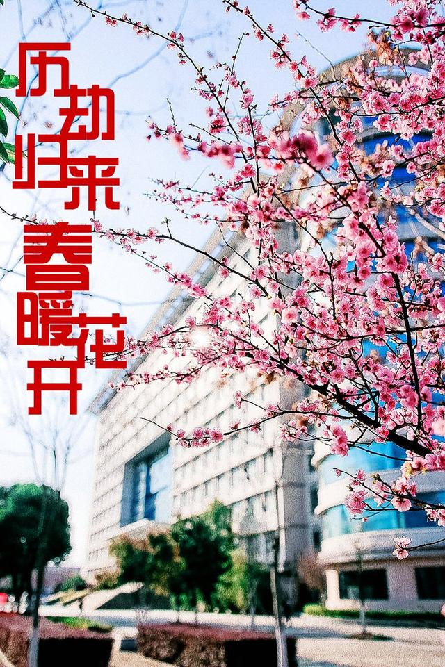 九百万个春天，因为有你终将绽放