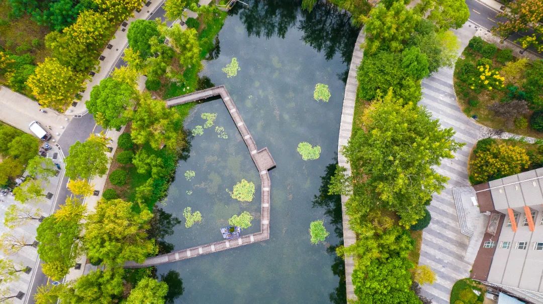 2022.9.15校园景色 摄影:李若源 (26).jpg 图片